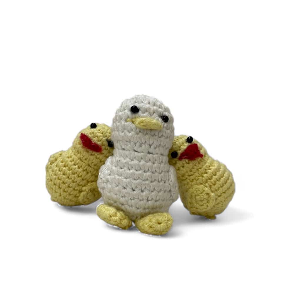 chicken p
